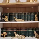 Abel Luxury Daire *