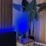Abel Luxury * Köstence