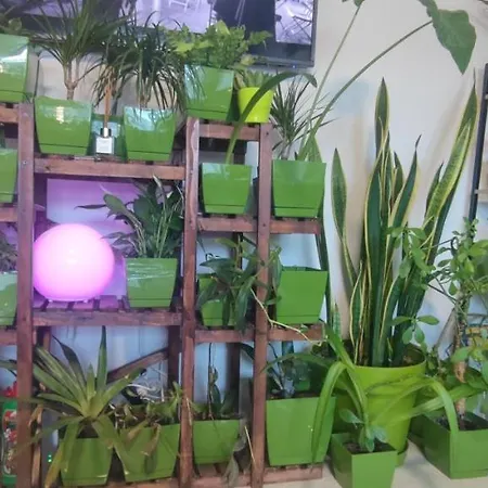 Abel Luxury Κονστάντζα