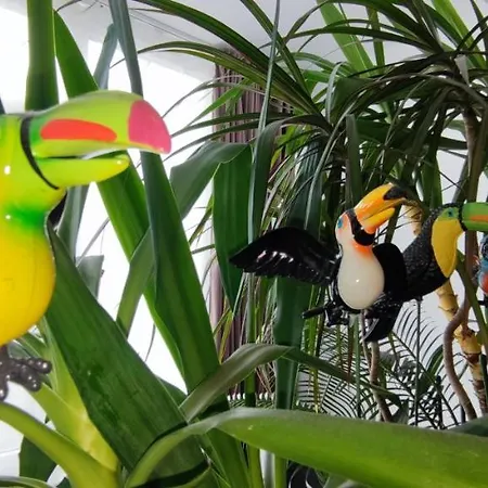 Apartman Abel Luxury Konstanca