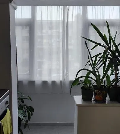 Apartamento Abel Luxury *