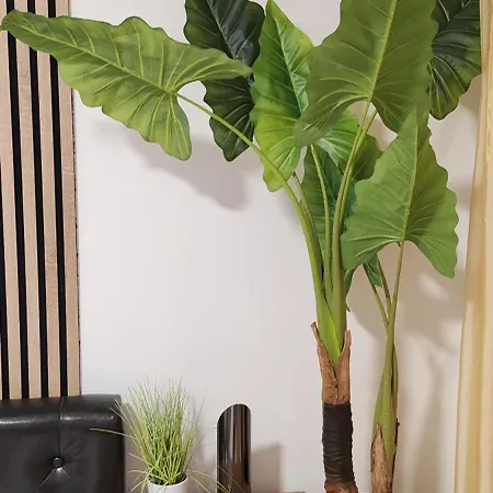 Apartamento Abel Luxury