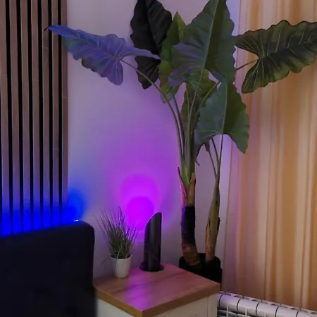 Apartamento Abel Luxury *